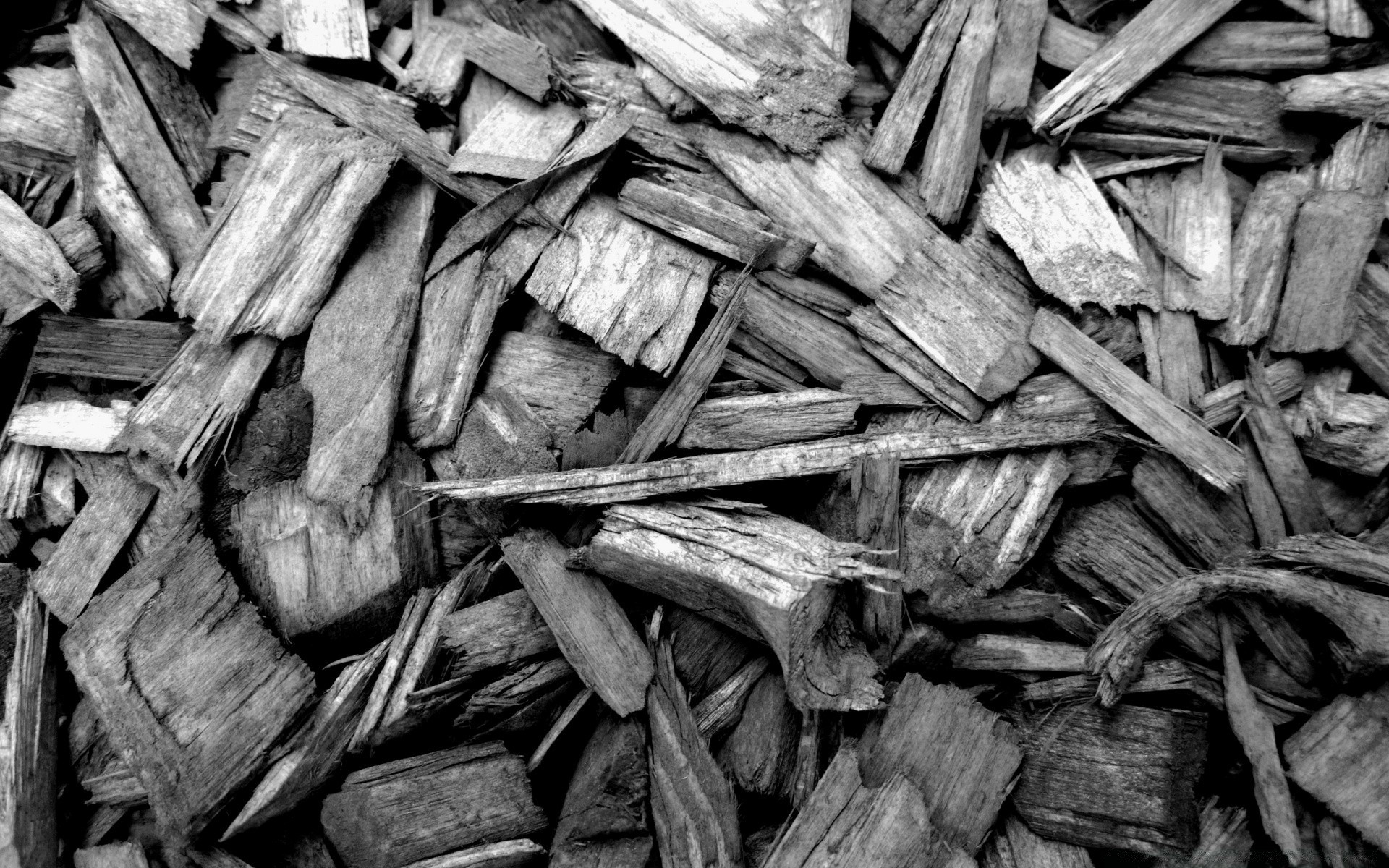 charcoal - carbonizing plant