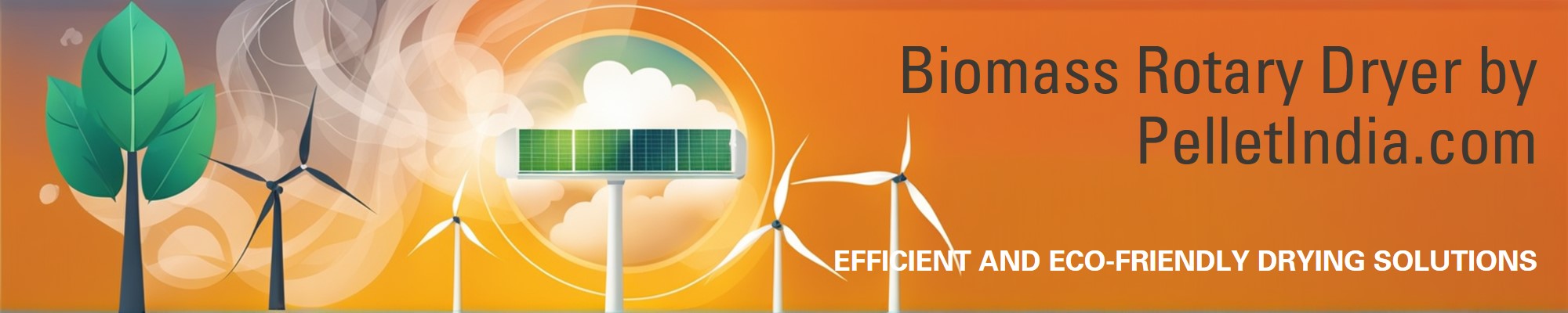 Biomass Flash and Rotary Dryer