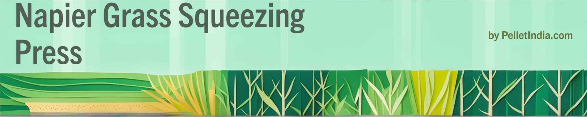 Napier Grass Press Roll (Dewatering)