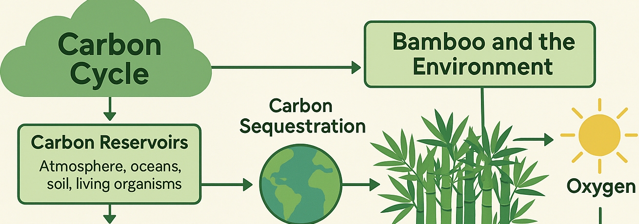 carbon-and-bamboo-11024ร460-1-4.jpg